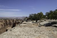 trees line the edge of a cliff next to a canyon of rocks and greenery