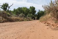 a person is riding down a dirt road in the desert with a sky background and trees