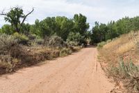 a person is riding down a dirt road in the desert with a sky background and trees