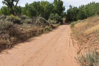 a person is riding down a dirt road in the desert with a sky background and trees