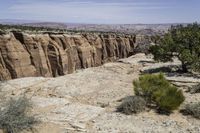 large stone cliffs with some green plants on one side and mountains in the other side