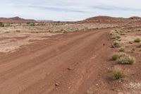 dirt road through desert with rock in the distance on sunny day outside of town in southwest colorado