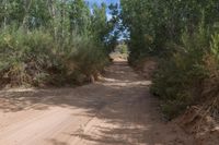 Off Road Adventure in Canyonlands