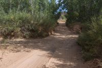 Off Road Adventure in Canyonlands