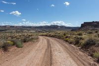 Canyonlands: Off-Road Track under a Clear Sky