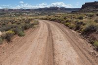 Canyonlands: Off-Road Track under a Clear Sky