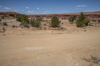 a dirt road in the middle of a barren area and red mountains with sparse vegetation