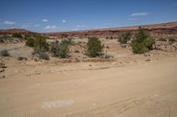 a dirt road in the middle of a barren area and red mountains with sparse vegetation