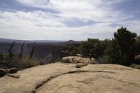 a tree is growing near a cliff in the desert under a partly cloudy sky overhead