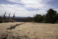 a tree is growing near a cliff in the desert under a partly cloudy sky overhead