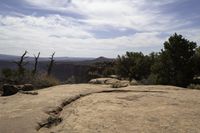 a tree is growing near a cliff in the desert under a partly cloudy sky overhead