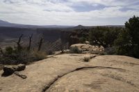 a tree is growing near a cliff in the desert under a partly cloudy sky overhead