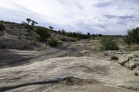 dirt and rock roads leading across rocks in a desert landscape with bushes and trees growing