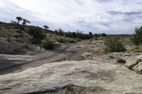 dirt and rock roads leading across rocks in a desert landscape with bushes and trees growing