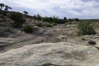 dirt and rock roads leading across rocks in a desert landscape with bushes and trees growing