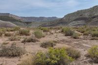 Canyonlands: Rugged Formations in the Desert