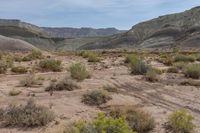 Canyonlands: Rugged Formations in the Desert