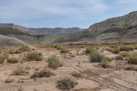 Canyonlands: Rugged Formations in the Desert