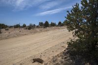 Canyonlands, Utah: Clear Sky Landscape