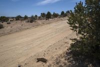 Canyonlands, Utah: Clear Sky Landscape