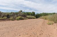 gravel road with a dirt sign on it's side and bushes along it, while two vehicles driving down it