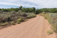 gravel road with a dirt sign on it's side and bushes along it, while two vehicles driving down it