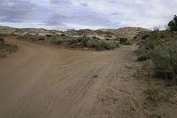 dirt road in a desert with trees and bushes on both sides of the road under a partly cloudy sky