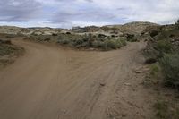 dirt road in a desert with trees and bushes on both sides of the road under a partly cloudy sky