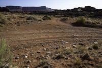 Canyonlands, Utah: A Landscape of Red Rock