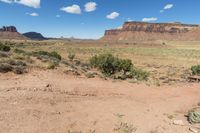 Canyonlands Utah Mountain Canyon Scenic Drive 003