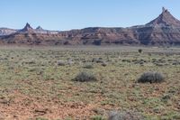 a horse is walking on the open plains in front of red cliffs and green grass