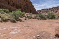 Canyonlands, Utah: Mountain Landforms in an Open Space