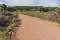 a dirt road with some brush and shrub on either side of it near an area in the desert