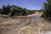 Canyonlands, Utah: A Rugged Landscape During the Day