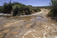 Canyonlands, Utah: A Rugged Landscape During the Day