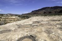 an area that has some dirt and plants and mountains in the distance are rocks with a large tree