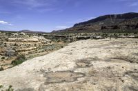 an area that has some dirt and plants and mountains in the distance are rocks with a large tree