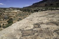 an area that has some dirt and plants and mountains in the distance are rocks with a large tree