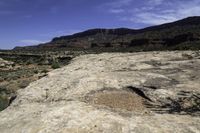 an area that has some dirt and plants and mountains in the distance are rocks with a large tree