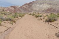 Canyonlands, Utah: Rugged Terrain and Stunning Views