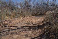 a dirt road in the middle of the woods, leading to nowhere and a trail that leads into a forest