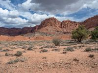 Capitol Reef & Highway 12: Exploring the Natural Beauty of Utah