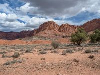 Capitol Reef & Highway 12: Exploring the Natural Beauty of Utah