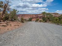 Capitol Reef National Park: Tracks on the Road Less Traveled