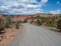 Capitol Reef National Park: Tracks on the Road Less Traveled