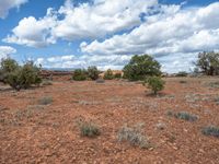 Capitol Reef: Open Spaces and Untouched Nature in the USA