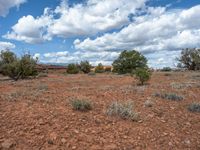 Capitol Reef: Open Spaces and Untouched Nature in the USA