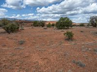 Capitol Reef: Open Spaces and Untouched Nature in the USA