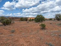 Capitol Reef: Open Spaces and Untouched Nature in the USA