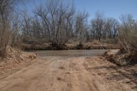 a dirt road that is near a body of water and bushes with dead trees on both sides